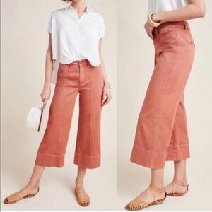 Anthropologie Chino Pants in Rust